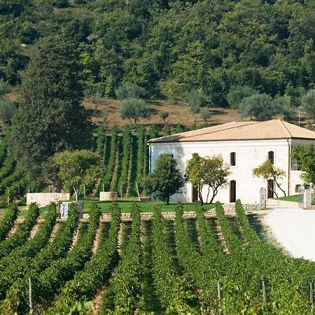 San Calisto Camere Con Vigna ポーポリ エクステリア 写真