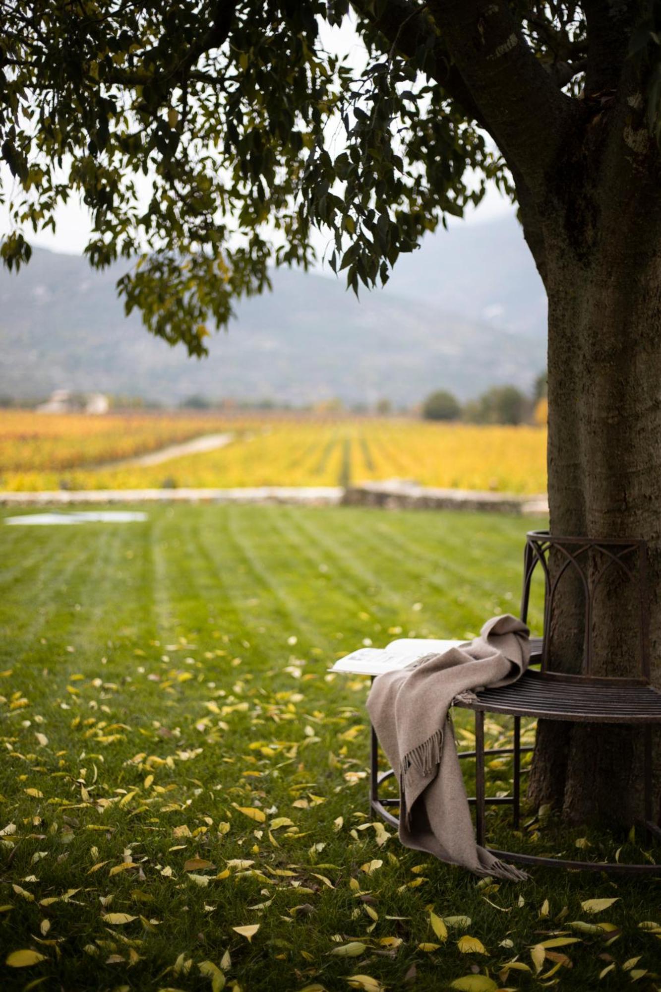 San Calisto Camere Con Vigna ポーポリ エクステリア 写真