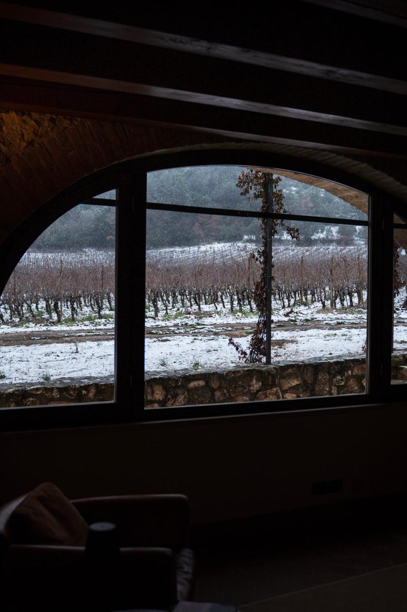 San Calisto Camere Con Vigna ポーポリ エクステリア 写真